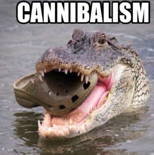 CANNIBALISM