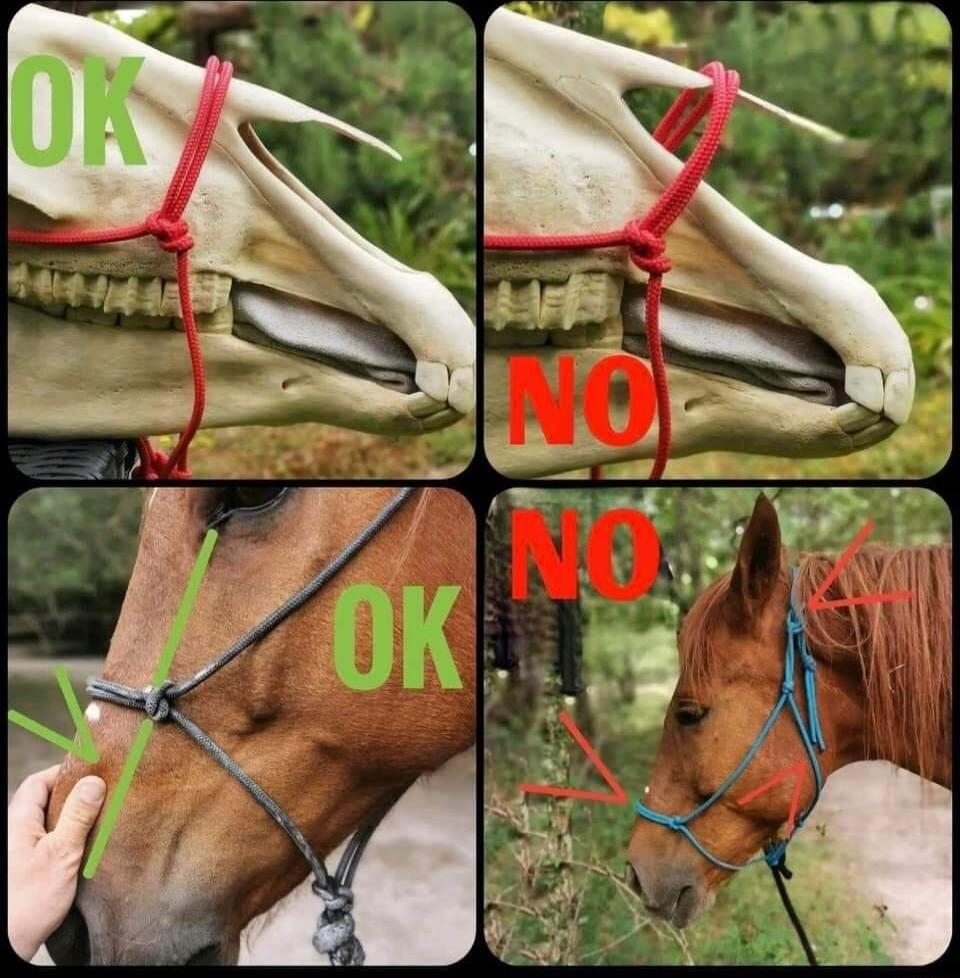 Session ID: 12608.
OK NO OK NO