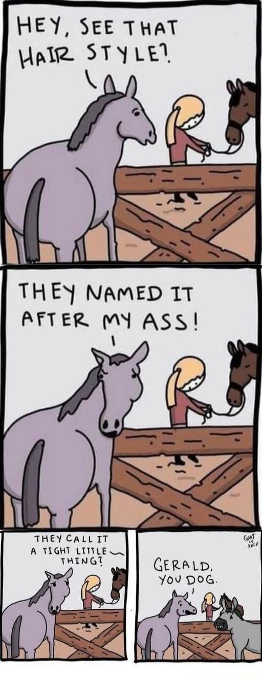 Hey, see that hair style?
They named it after my ass!
They call it a tight little thing?
Gerald, you dog.