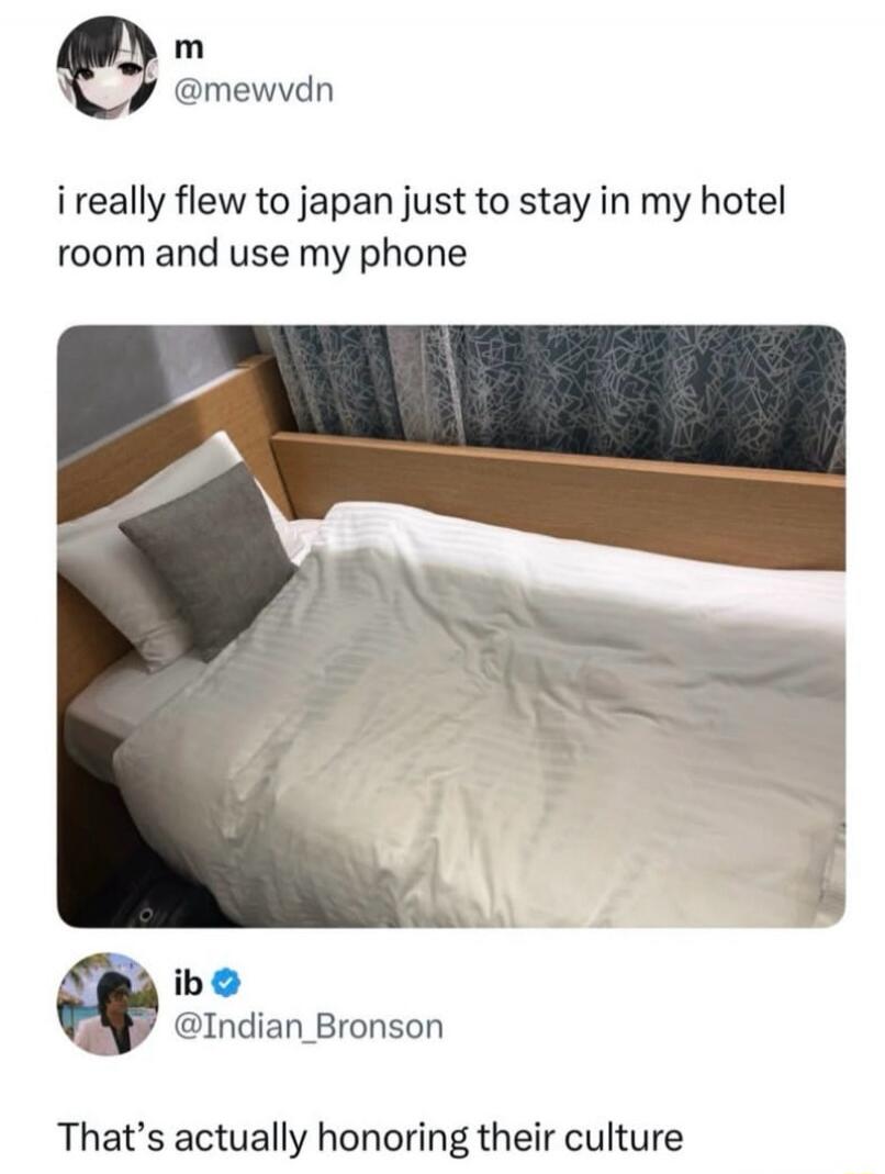 i really flew to japan just to stay in my hotel room and use my phone

That’s actually honoring their culture