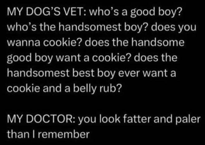 MY DOG'S VET: who's a good boy? who's the handsomest boy? does you wanna cookie? does the handsome good boy want a cookie? does the handsomest best boy ever want a cookie and a belly rub? MY DOCTOR: you look fatter and paler than I remember