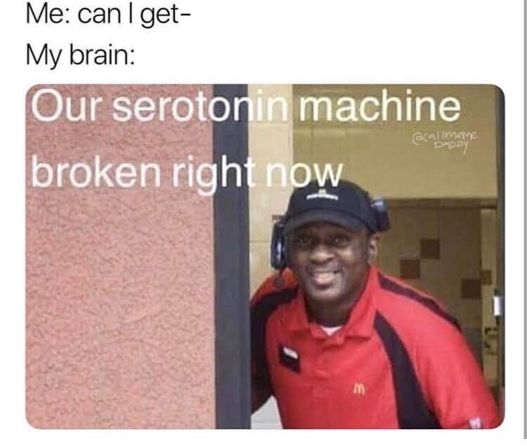 Me: can I get- My brain: Our serotonin machine broken right now