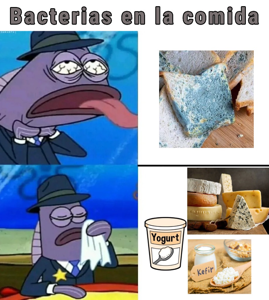 Bacterias en la comida
Yogurt
Kefir