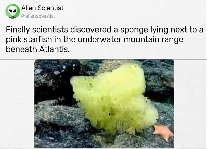 Finally scientists discovered a sponge lying next to a pink starfish in the underwater mountain range beneath Atlantis.