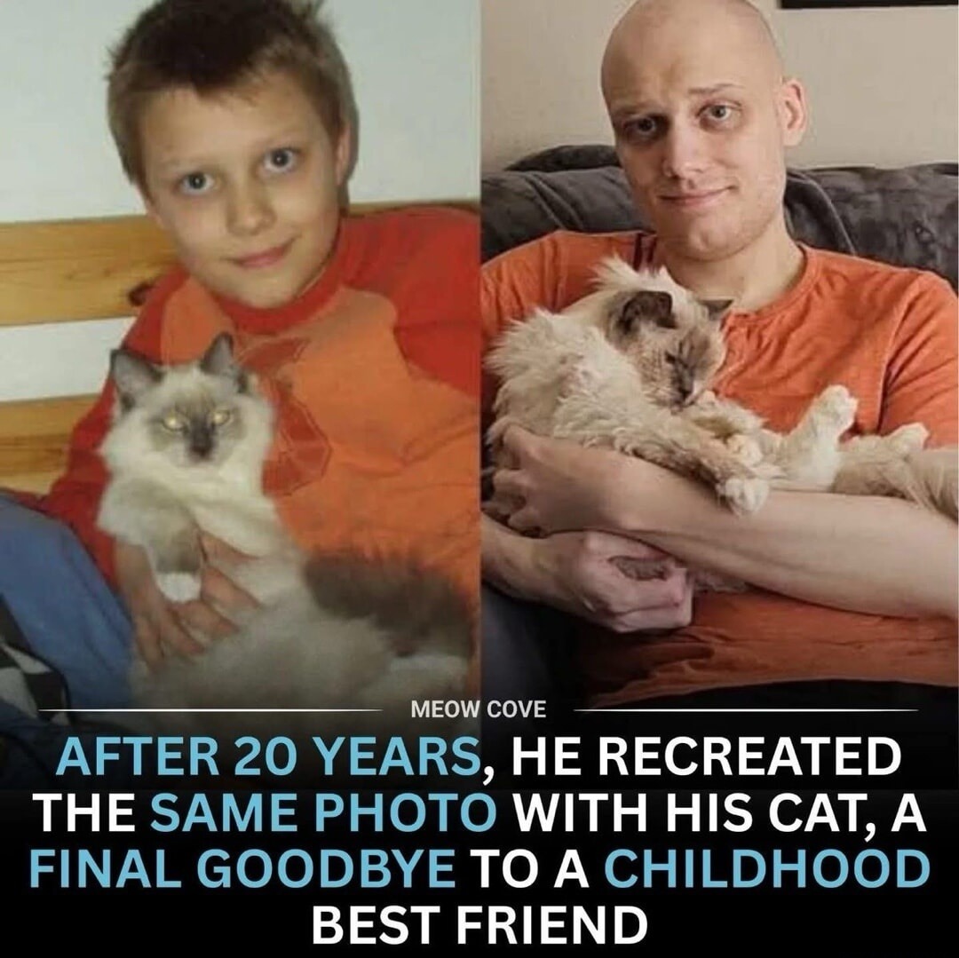 MEOW COVE AFTER 20 YEARS, HE RECREATED THE SAME PHOTO WITH HIS CAT, A FINAL GOODBYE TO A CHILDHOOD BEST FRIEND