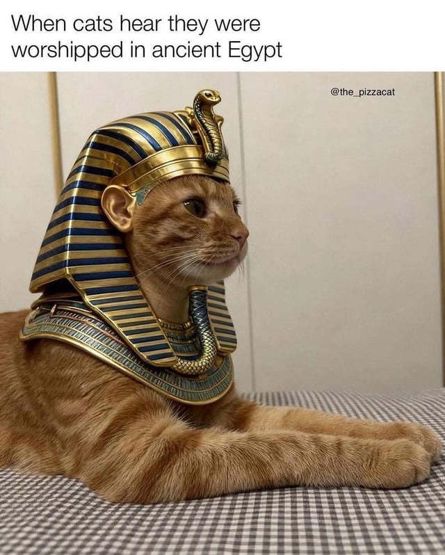 When cats hear they were worshipped in ancient Egypt