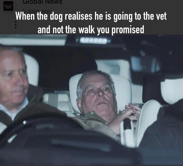 When the dog realise he is going to the vet and not the walk you promised