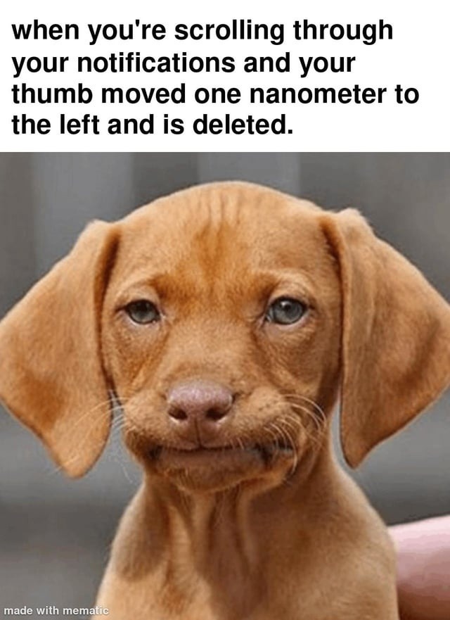 when you're scrolling through your notifications and your thumb moved one nanometer to the left and is deleted.
