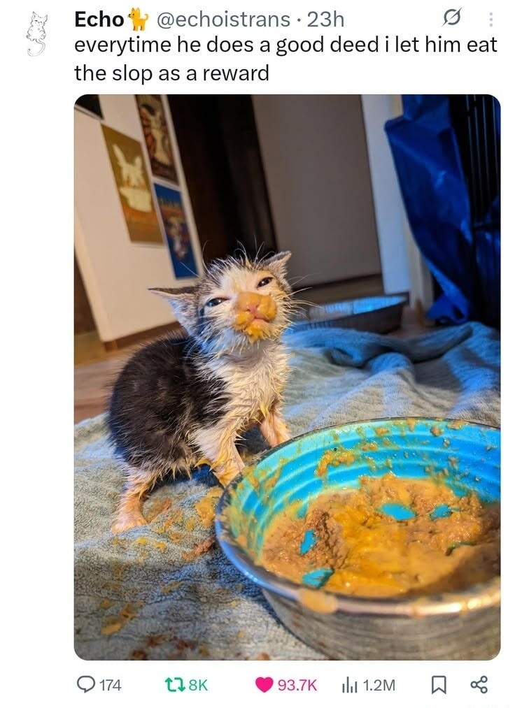 everytime he does a good deed i let him eat the slop as a reward