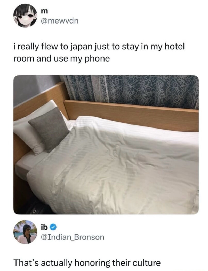 i really flew to japan just to stay in my hotel room and use my phone

That’s actually honoring their culture
