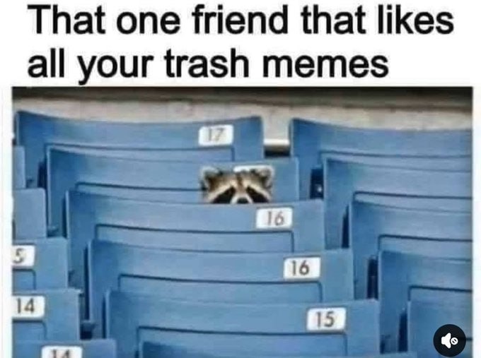 That one friend that likes all your trash memes