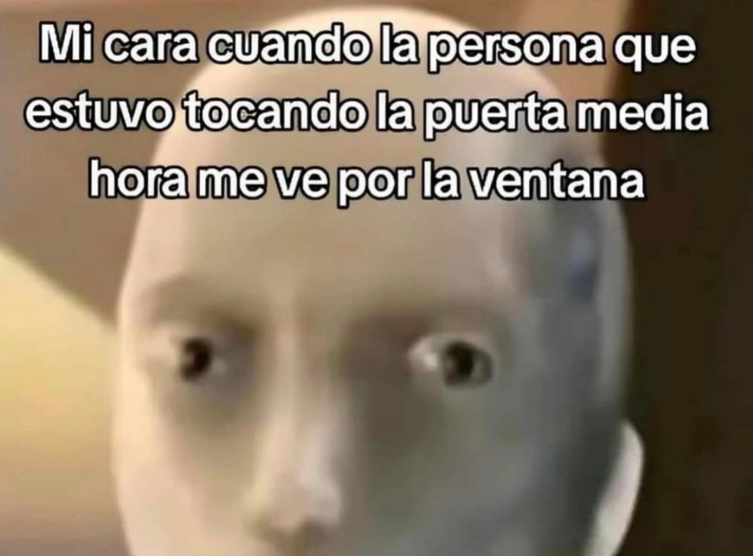 Mi cara cuando la persona que estuvo tocando la puerta media hora me ve por la ventana