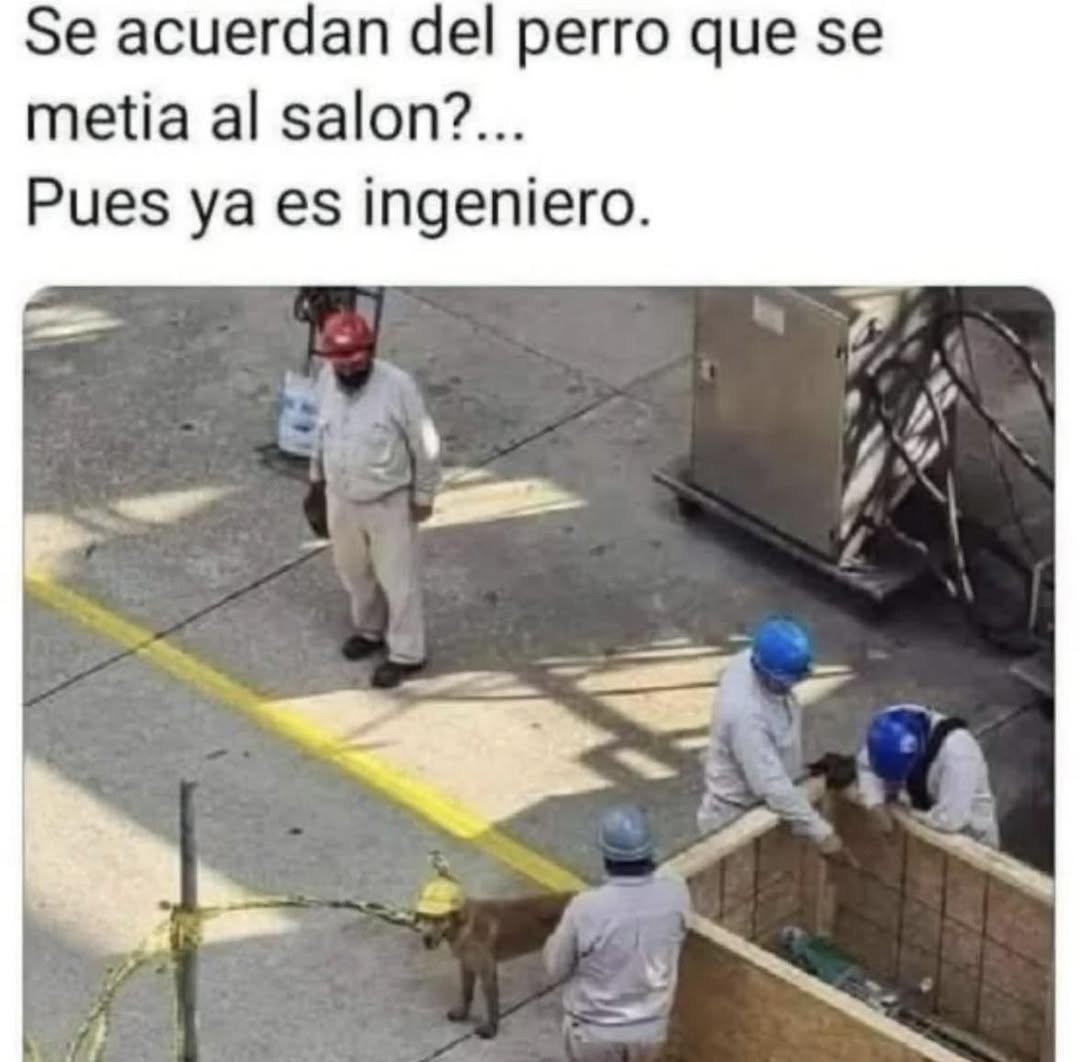 Se acuerdan del perro que se metía al salón?... Pues ya es ingeniero.