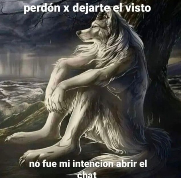 perdón x dejarte el visto
no fue mi intención abrir el chat