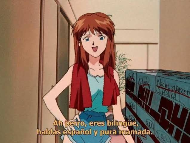 Ah perro, eres bilingüe, hablas español y pura mamada.