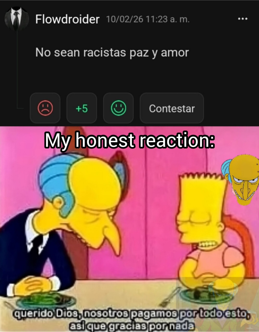 No sean racistas paz y amor My honest reaction: querido Dios, nosotros pagamos por todo esto, así que gracias por nada