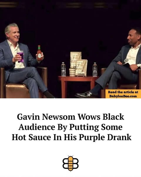 Gavin Newsom Wows Black Audience By Putting Some Hot Sauce In His Purple Drank
Read the article at BabylonBee.com