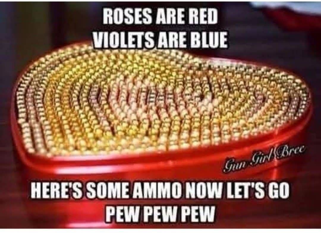 ROSES ARE RED VIOLETS ARE BLUE HERE'S SOME AMMO NOW LET'S GO PEW PEW PEW