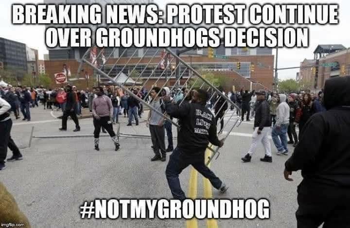 BREAKING NEWS: PROTEST CONTINUE OVER GROUNDHOGS DECISION
#NOTMYGROUNDHOG