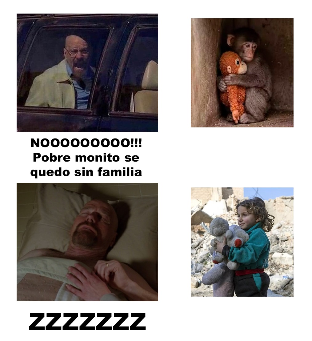 NOOOOOOOOO!!! Pobre monito se quedo sin familia
ZZZZZZZ