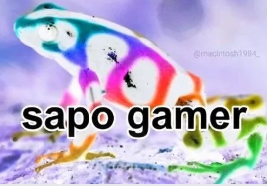 sapo gamer