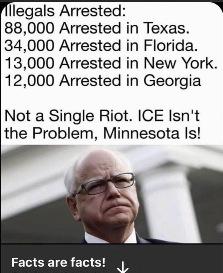 Illegals Arrested: 88,000 Arrested in Texas. 34,000 Arrested in Florida. 13,000 Arrested in New York. 12,000 Arrested in Georgia Not a Single Riot. ICE Isn't the Problem, Minnesota Is! Facts are facts!
