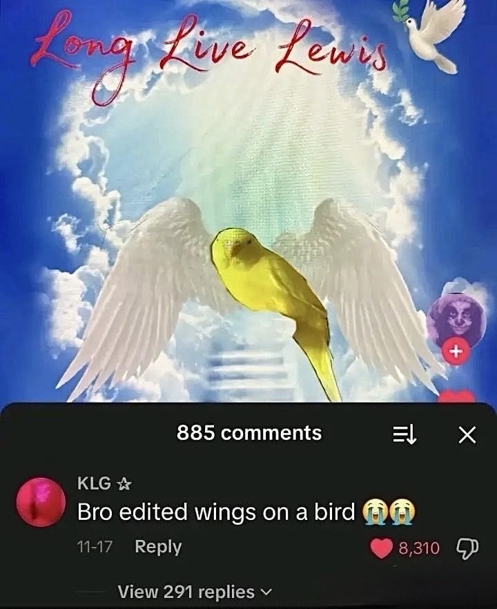 Long Live Lewis
Bro editó las alas de un pájaro 😂😭
885 comentarios
Ver 291 respuestas