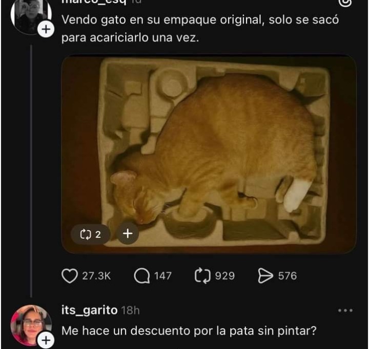 Vendo gato en su empaque original, solo se sacó para acariciarlo una vez.
