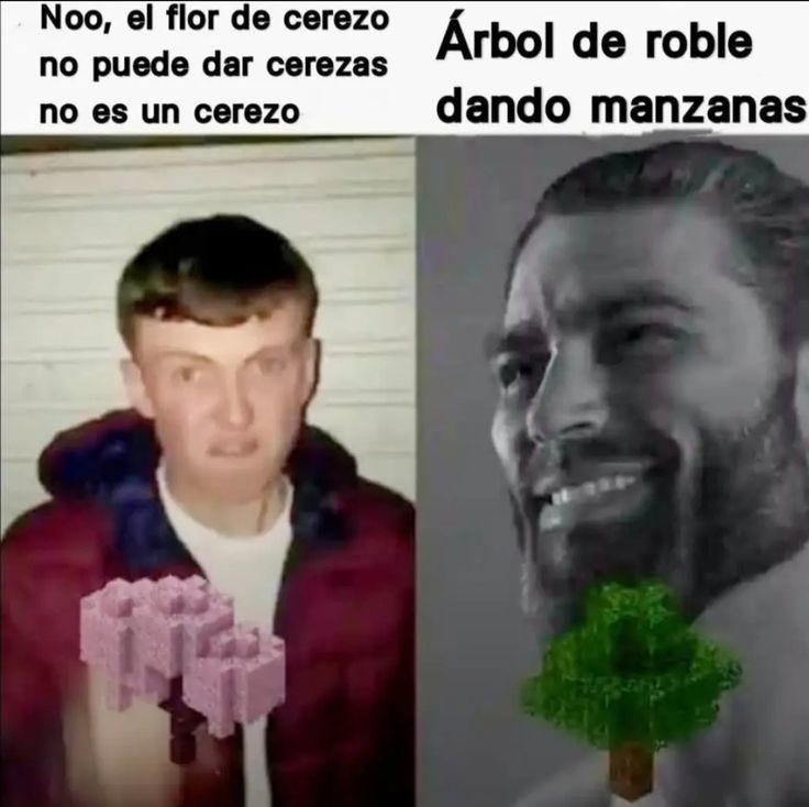 Noo, el flor de cerezo no puede dar cerezas no es un cerezo
Árbol de roble dando manzanas