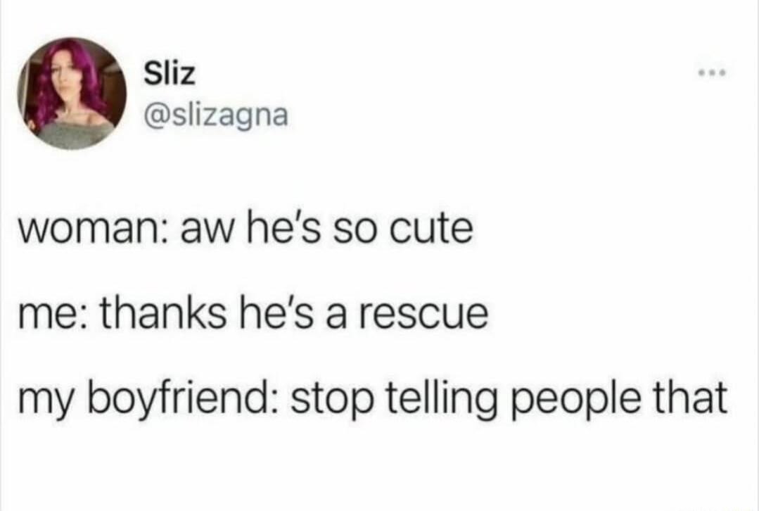 woman: aw he's so cute me: thanks he's a rescue my boyfriend: stop telling people that