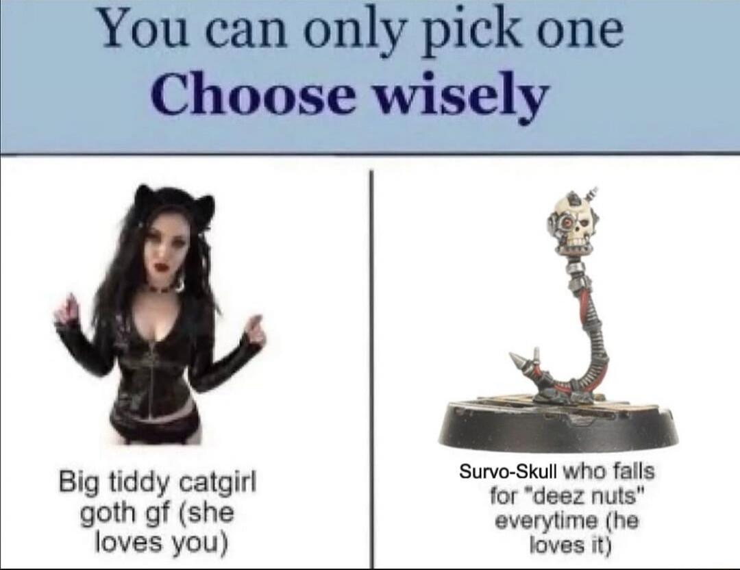 You can only pick one
Choose wisely
Big tiddy catgirl goth gf (she loves you)
Survo-Skull who falls for 