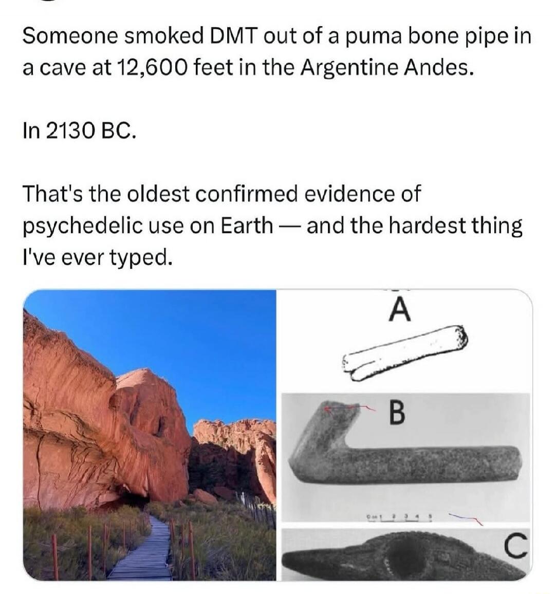 Someone smoked DMT out of a puma bone pipe in a cave at 12,600 feet in the Argentine Andes. In 2130 BC. That's the oldest confirmed evidence of psychedelic use on Earth — and the hardest thing I've ever typed.