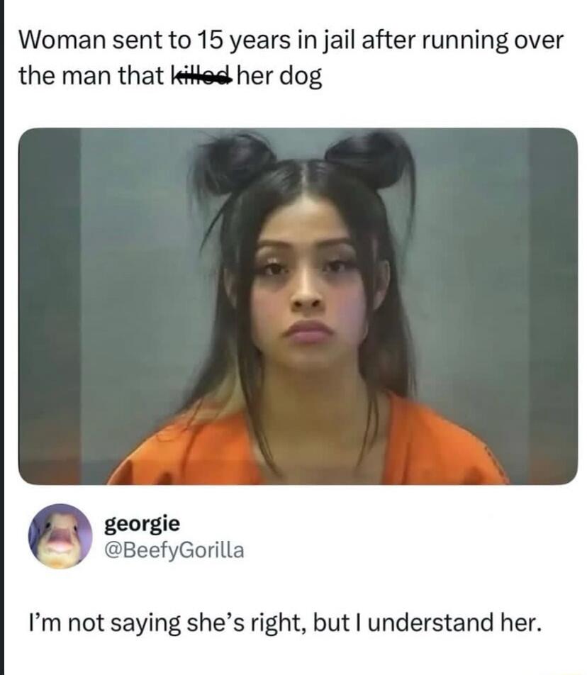 Woman sent to 15 years in jail after running over the man that killed her dog

I’m not saying she’s right, but I understand her.