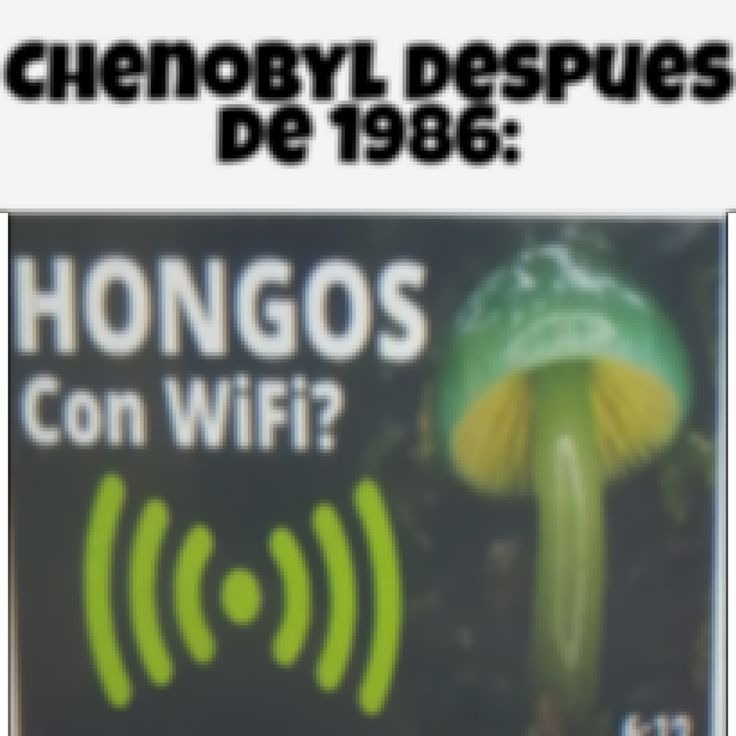 CHENOBYL DESPUES DE 1986:
HONGOS Con Wifi?