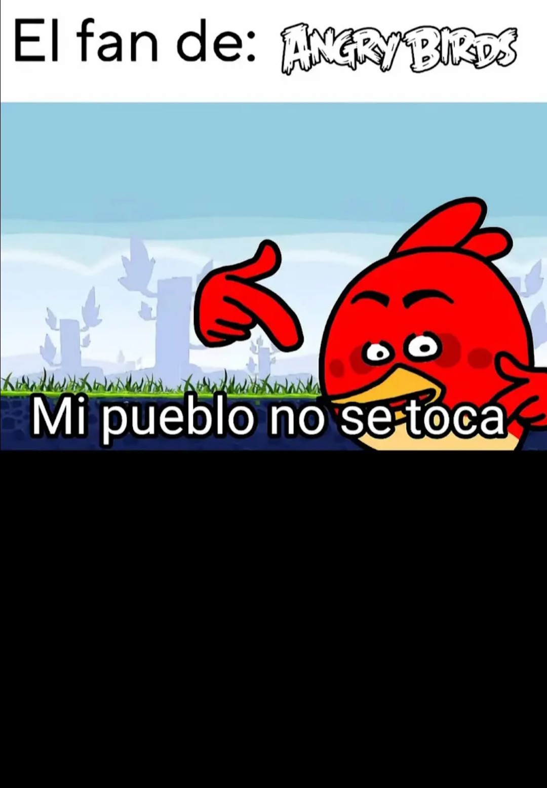 El fan de: Angry Birds
Mi pueblo no se toca