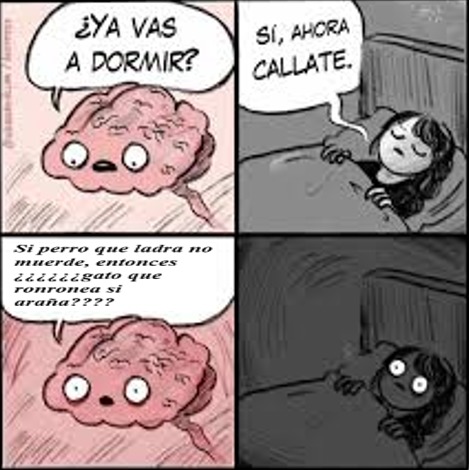 ¿Ya vas a dormir? Sí, ahora callate. Si pero que ladra no muerde, entonces zzzzzzz que ronronea si araña???