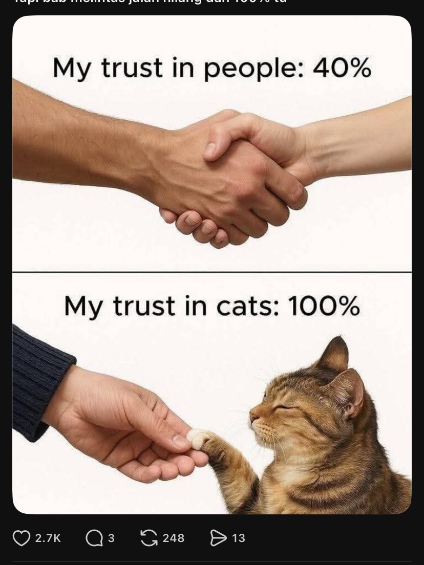 My trust in people: 40%
My trust in cats: 100%