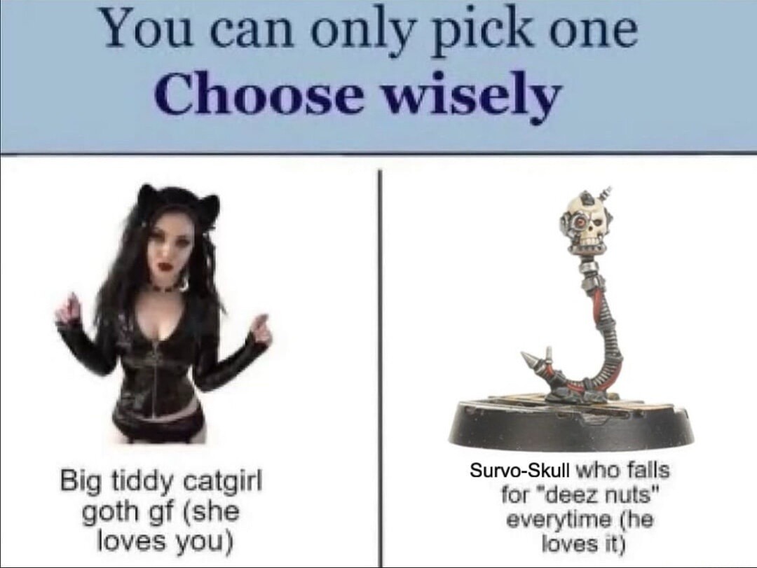 You can only pick one Choose wisely
Big tiddy catgirl goth gf (she loves you)
Survo-Skull who falls for 