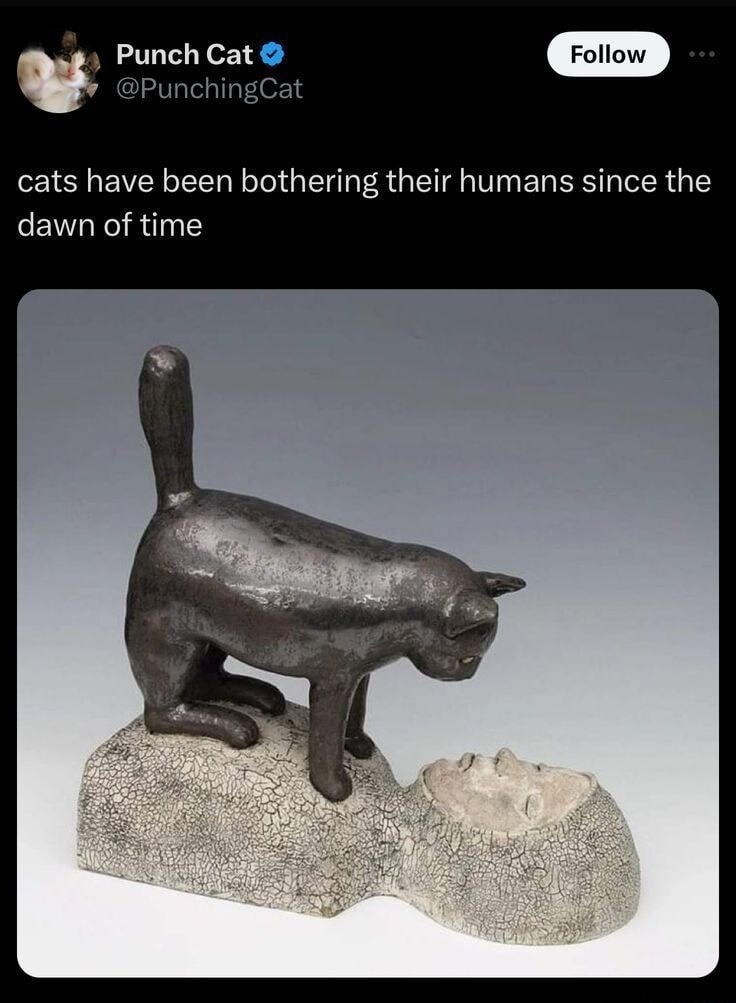 cats have been bothering their humans since the dawn of time