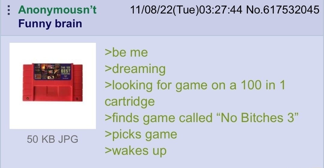 >be me
>dreaming
>looking for game on a 100 in 1 cartridge
>finds game called 