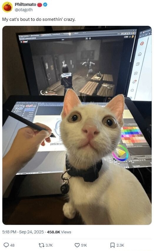 My cat's bout to do somethin' crazy.