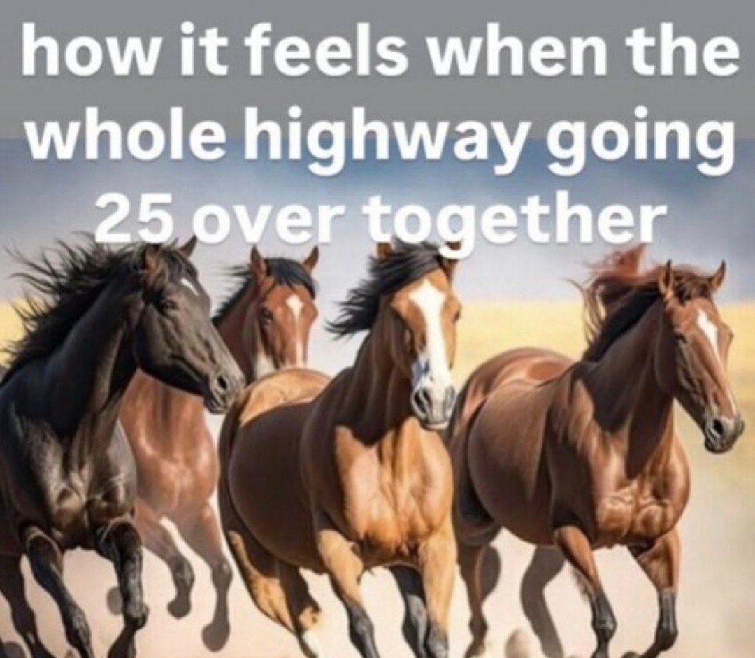 how it feels when the whole highway going 25 over together