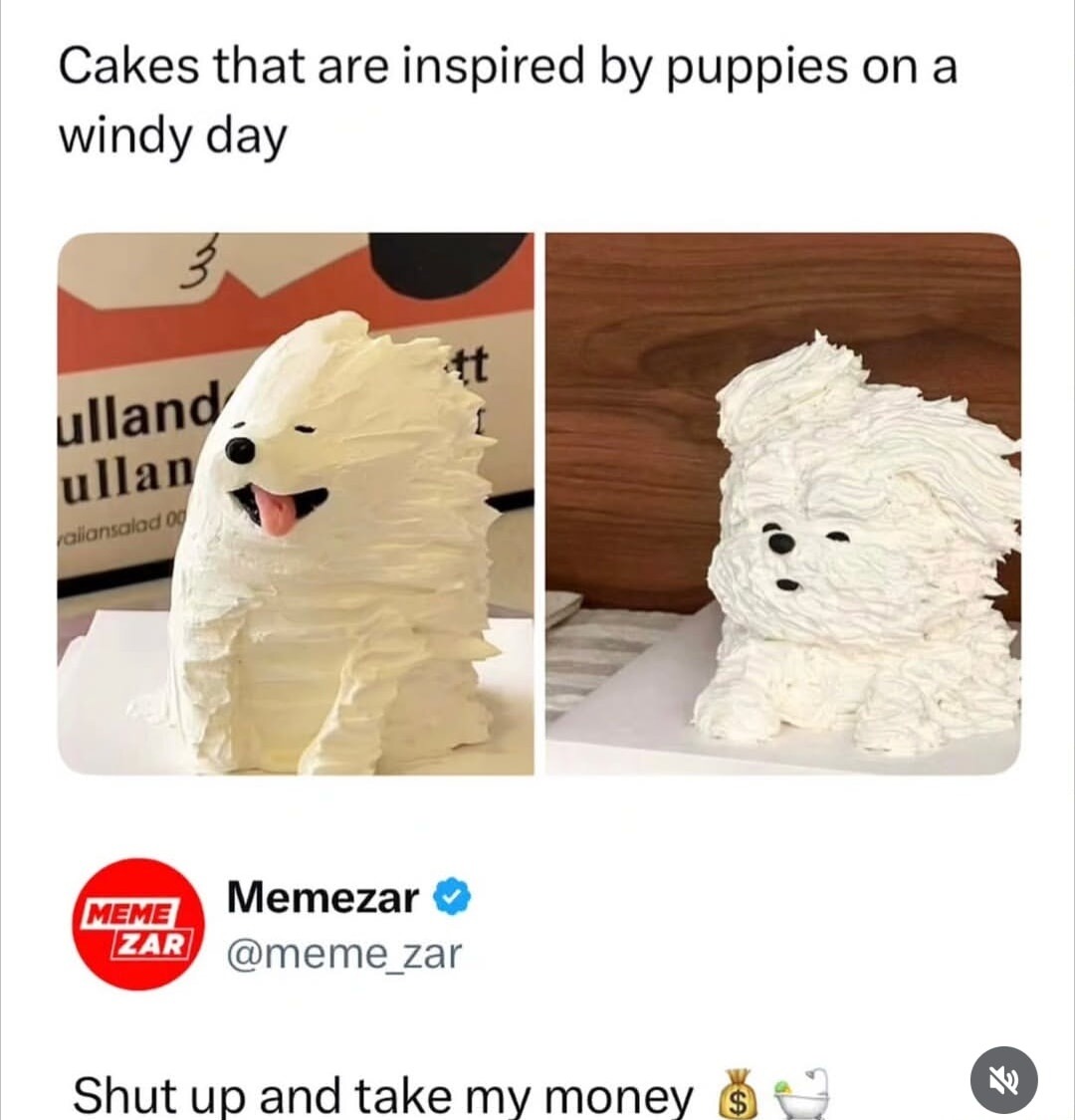 Cakes that are inspired by puppies on a windy day
Shut up and take my money