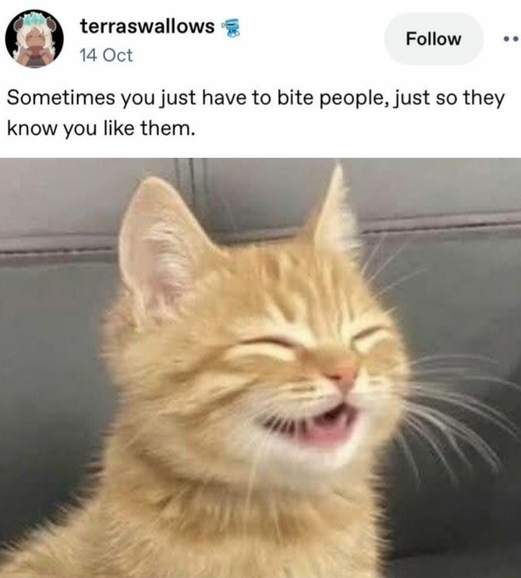 Sometimes you just have to bite people, just so they know you like them.