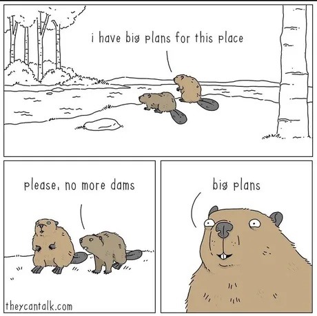 i have big plans for this place

please, no more dams

big plans