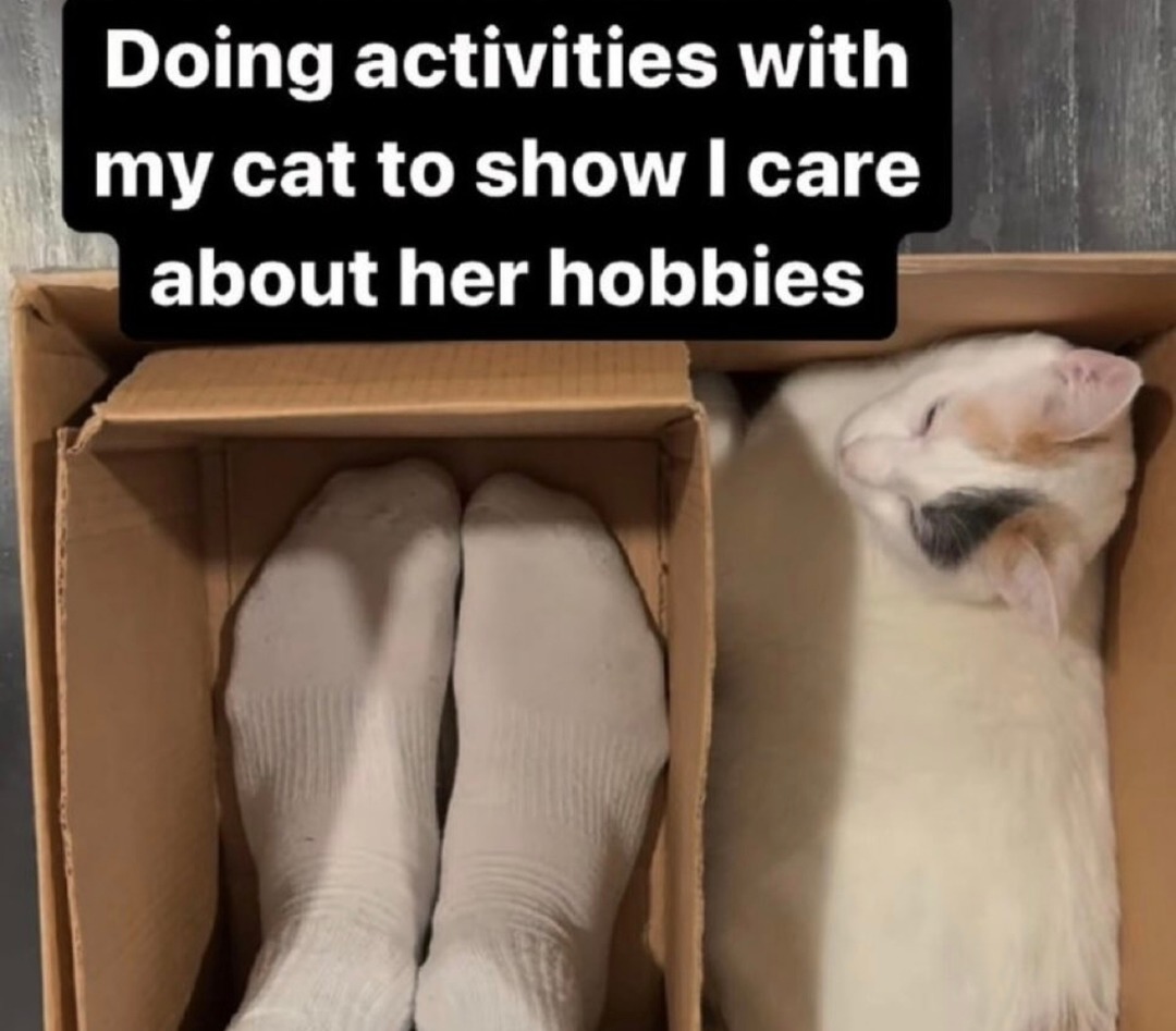 Doing activities with my cat to show I care about her hobbies