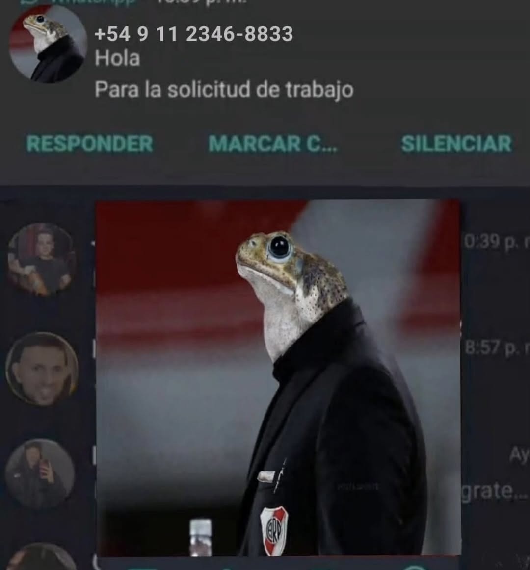 +54 9 11 2346-8833 Hola Para la solicitud de trabajo