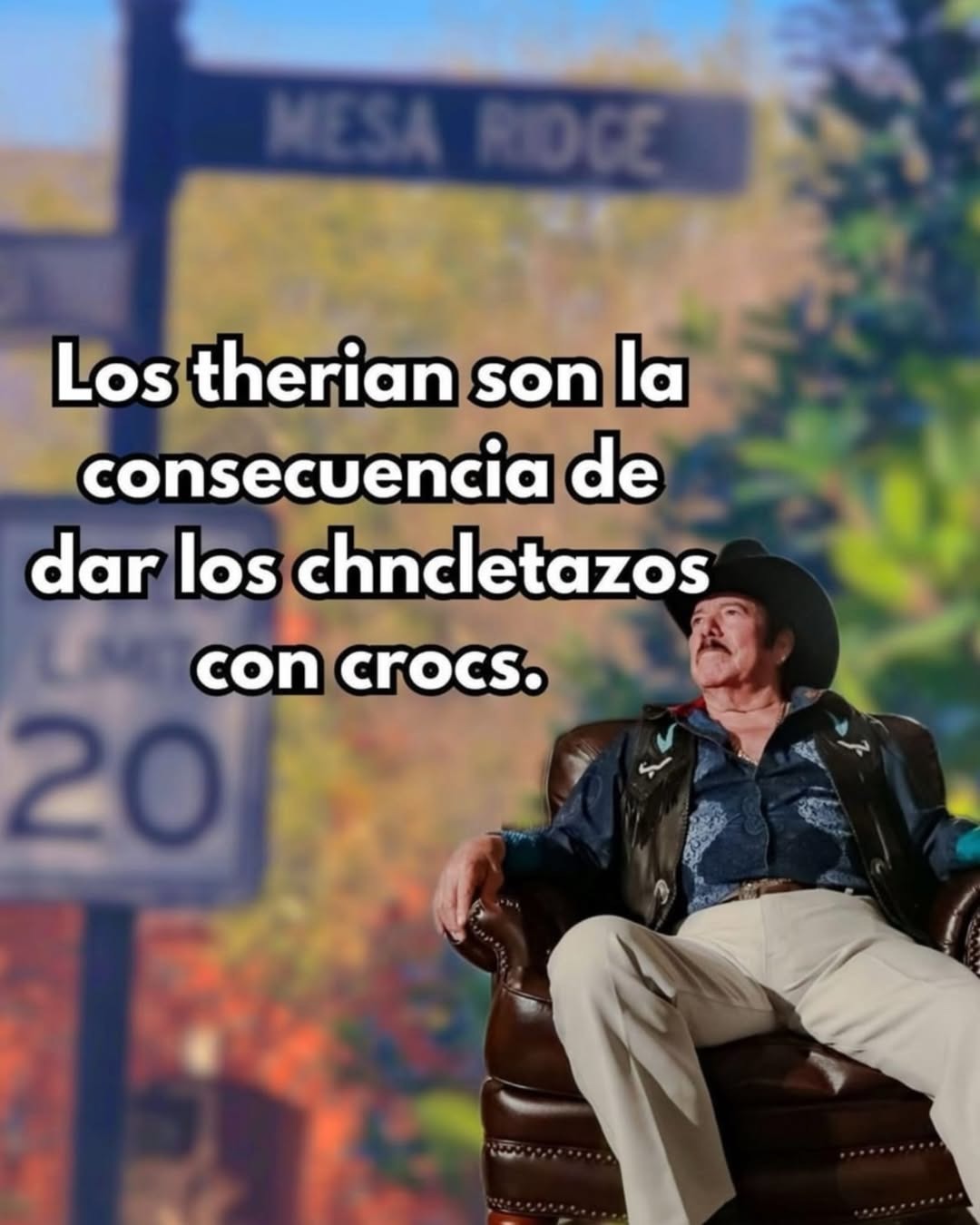 Los therian son la consequence de dar los chncletazos con crocs.