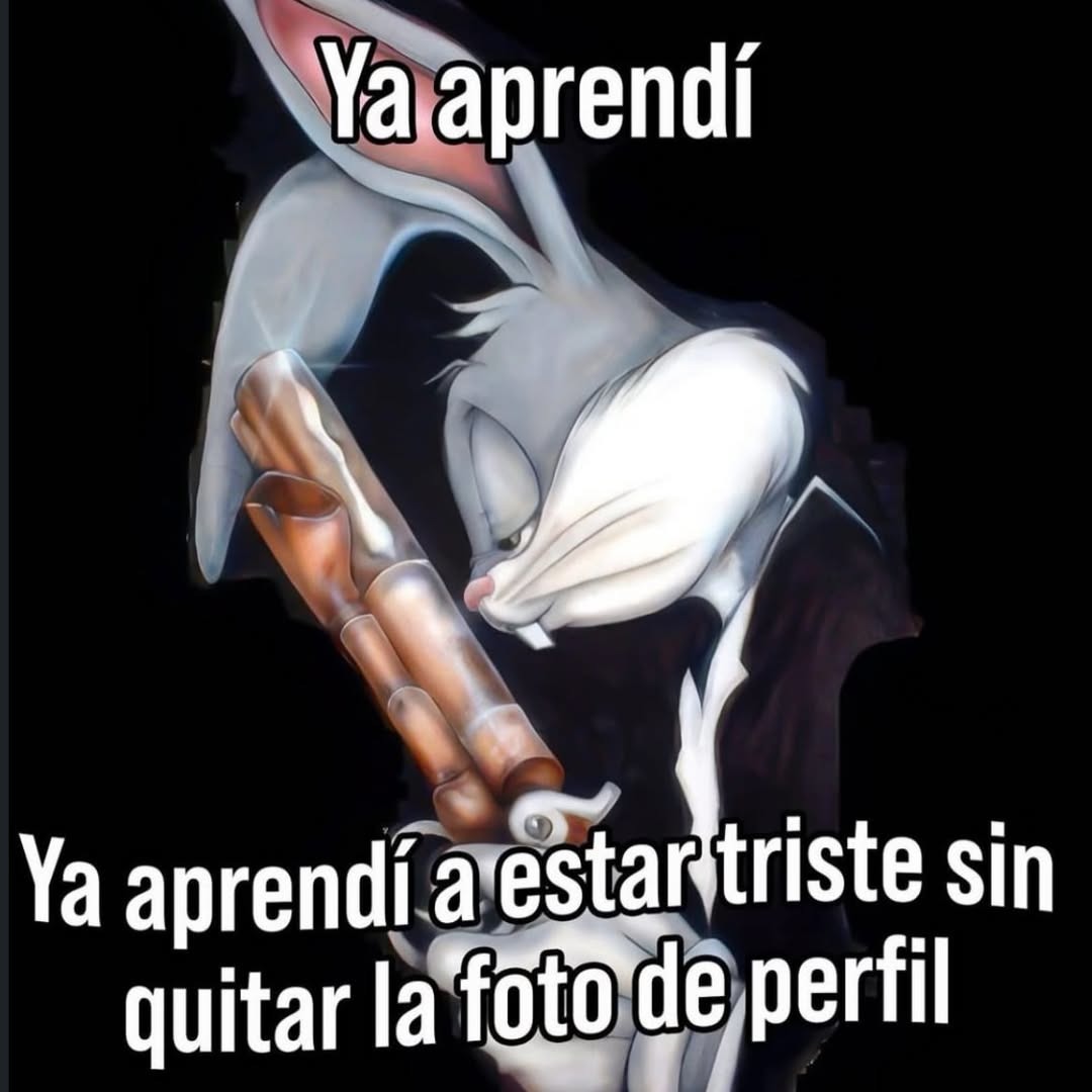 Ya aprendí Ya aprendí a estar triste sin quitar la foto de perfil