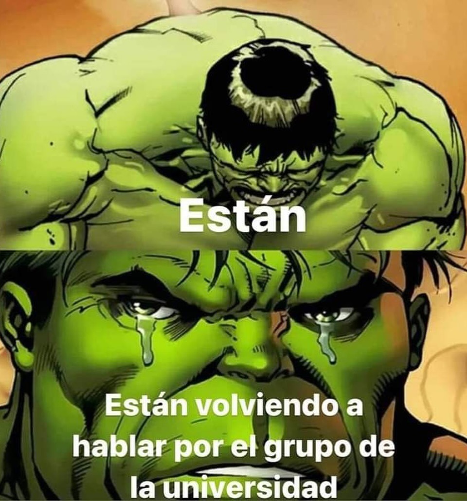 Están volviendo a hablar por el grupo de la universidad